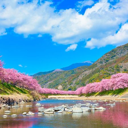 Ramjet Kisami Beach House Shimoda - Enjoy Sakura, Beach And Bbq! Ngoại thất bức ảnh