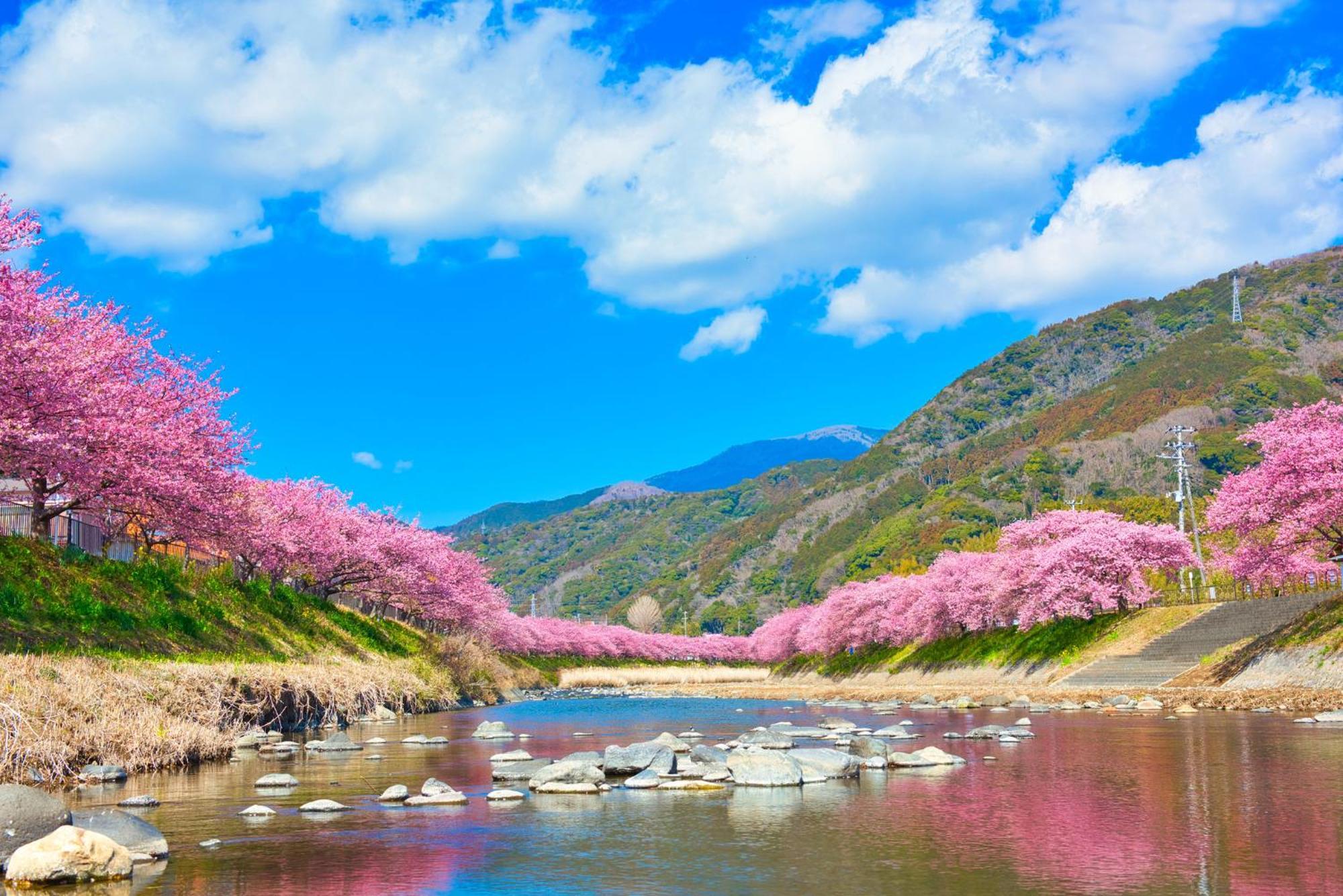 Ramjet Kisami Beach House Shimoda - Enjoy Sakura, Beach And Bbq! Ngoại thất bức ảnh